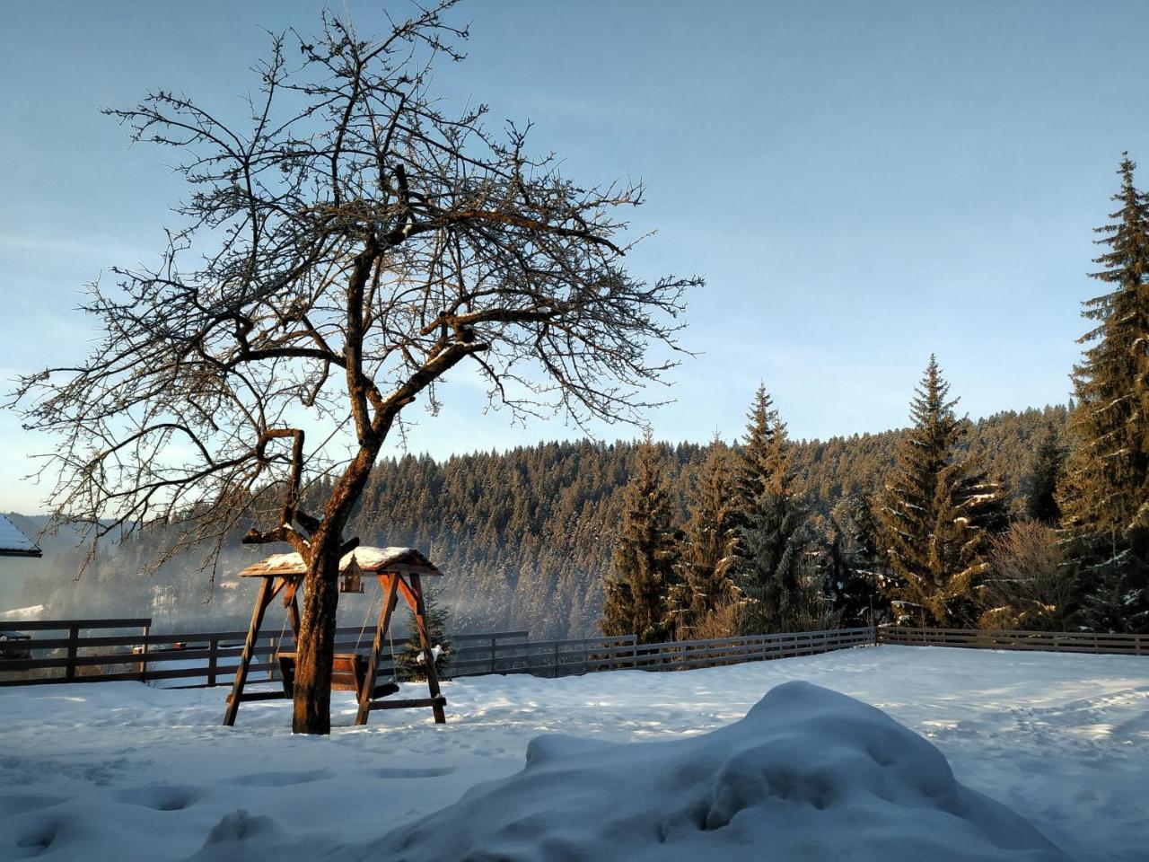 Villa Montana Borsec Esterno foto